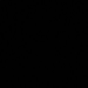 Meet your Posher, Quadir